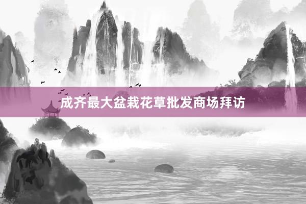 成齐最大盆栽花草批发商场拜访